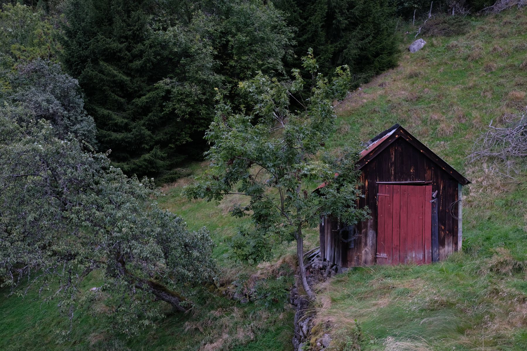 Somewhere on a Norwegian mountain.