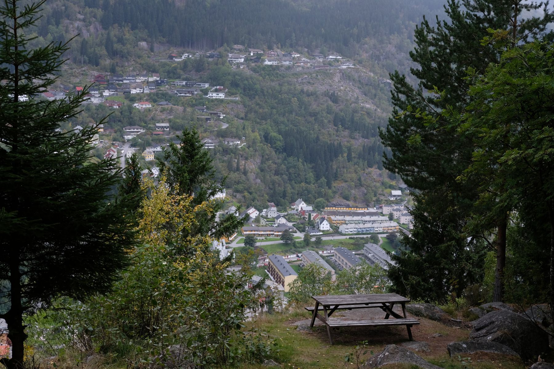 Picnic table with a view.