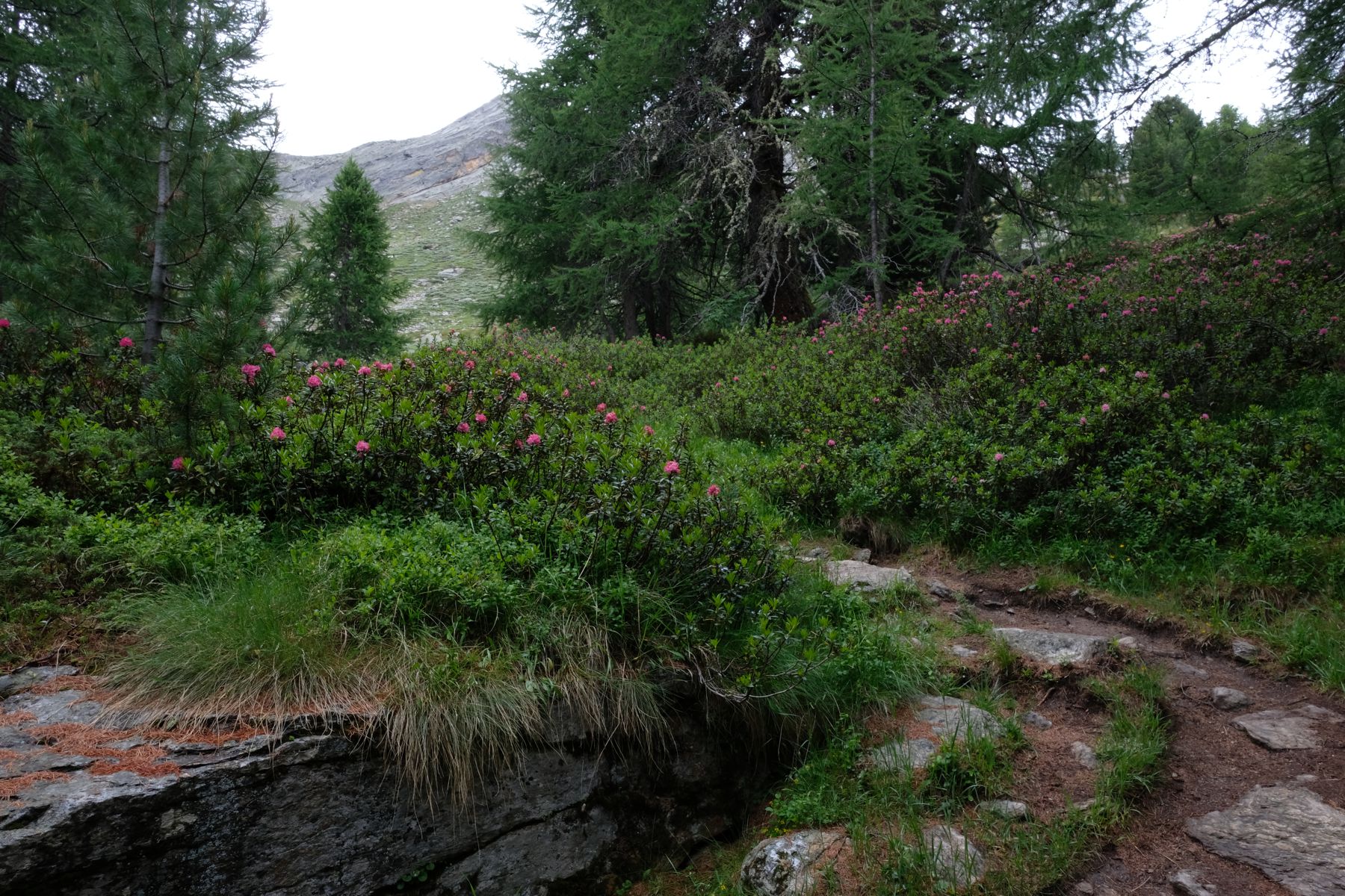 Mountain in Aosta Valley