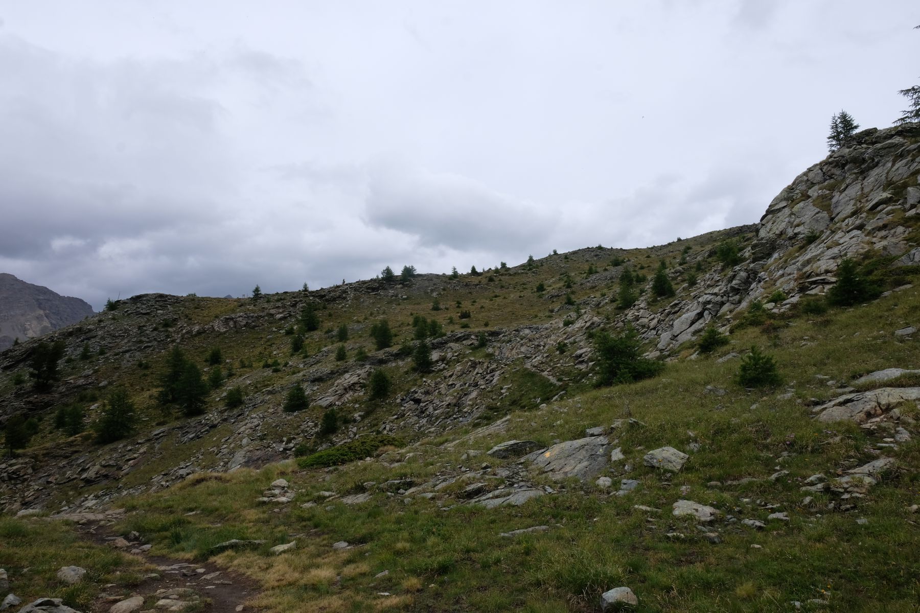 Above the tree line - aside from a few determined trees.