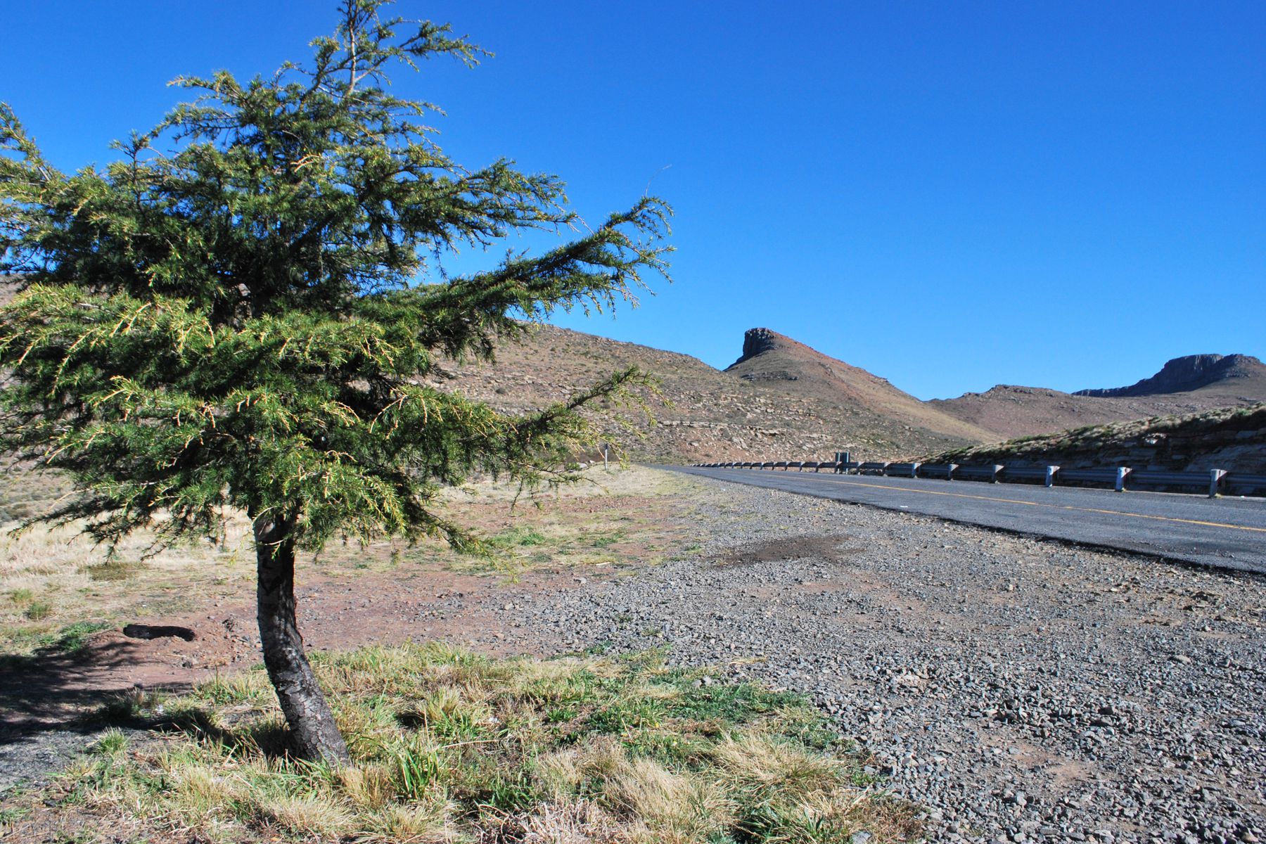 South Africa, somewhere between Johannesburg and Swellendam.