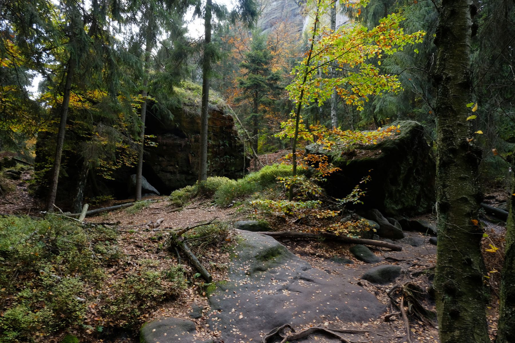 Bohemian Switzerland national park