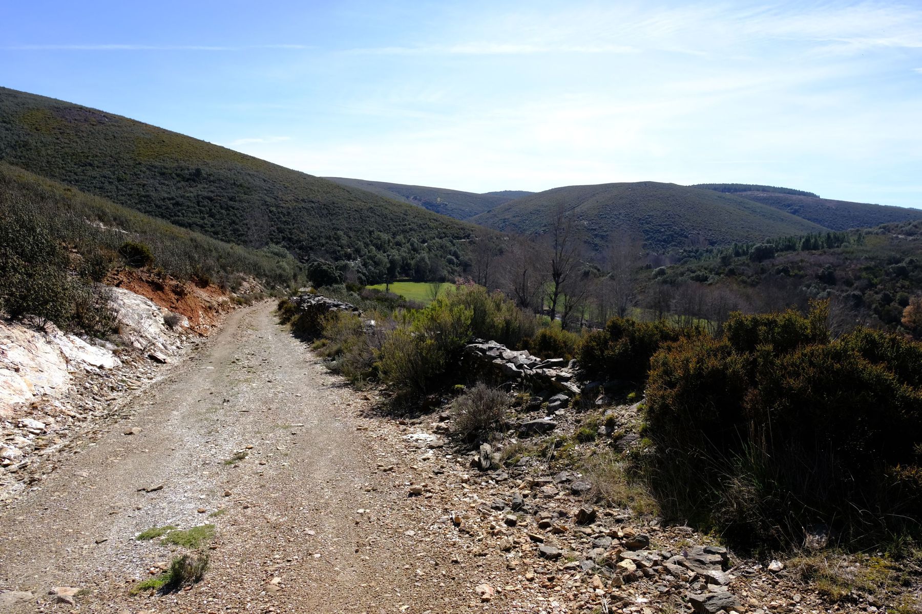 Montesinho National Park.