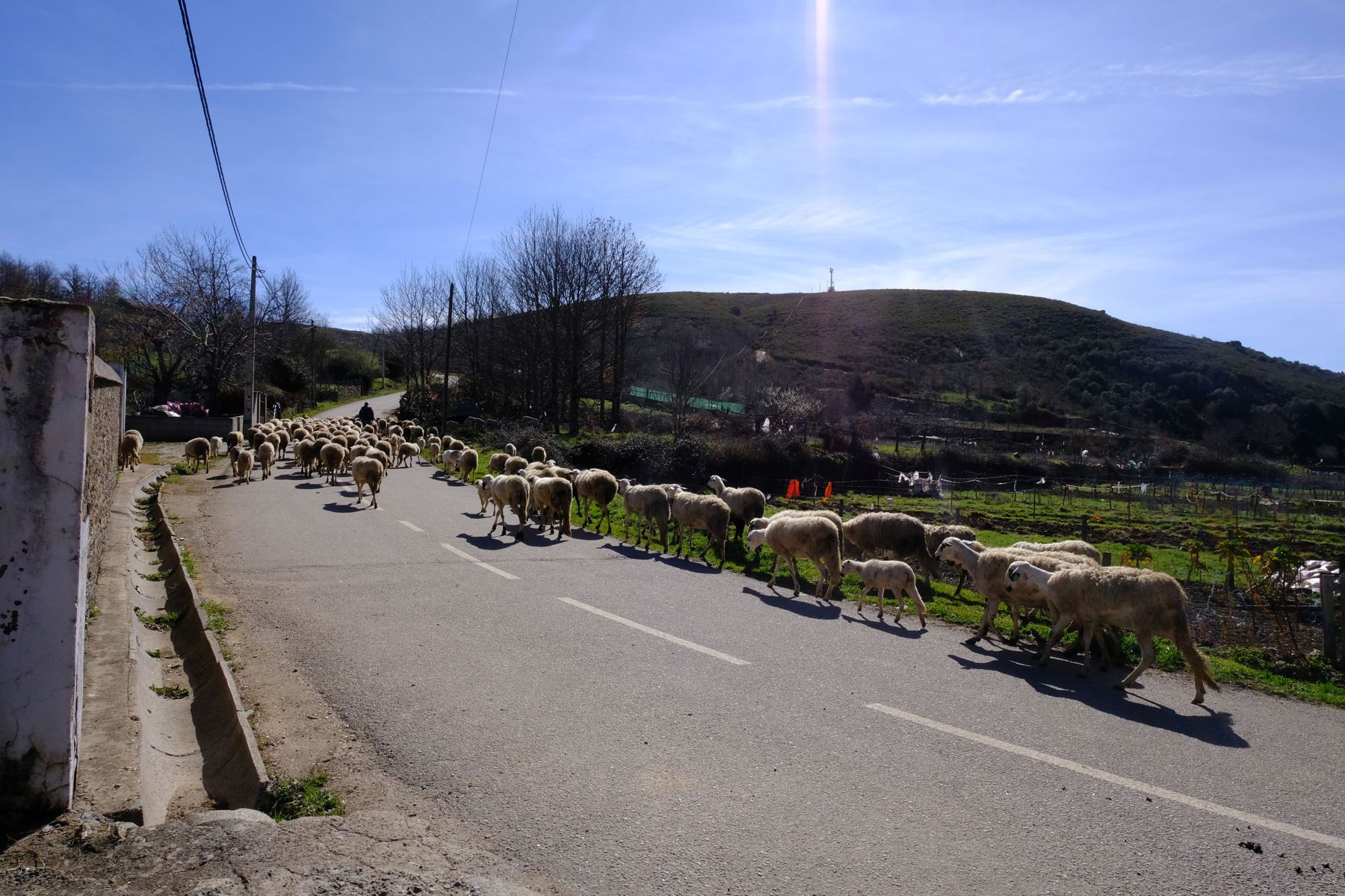 Montesinho National Park, near Bragaça