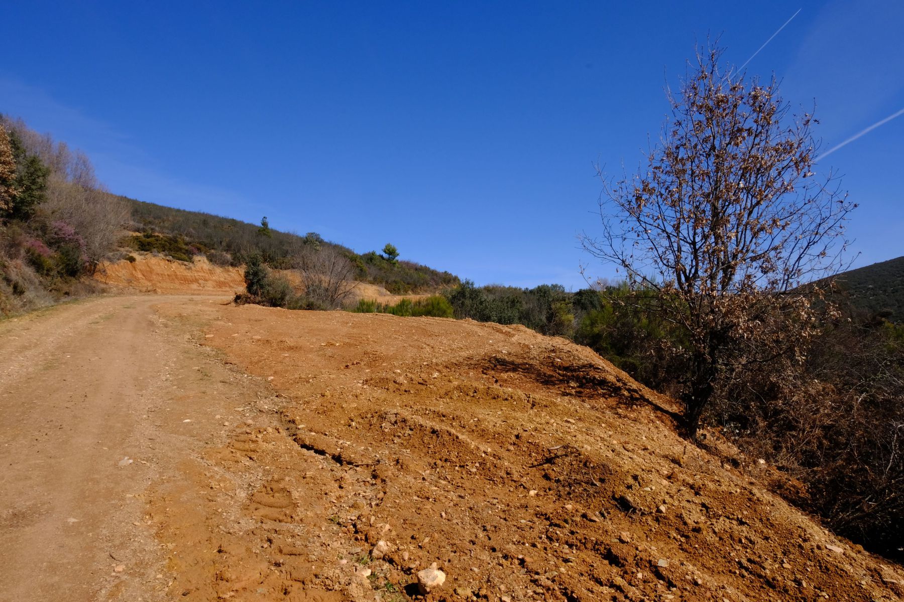 Dirt path, Montesinho National Park.