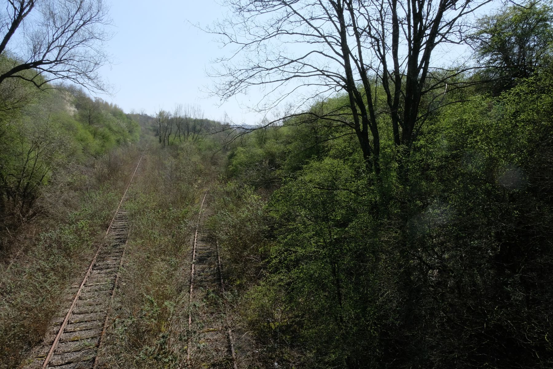 old train tracks in the grass