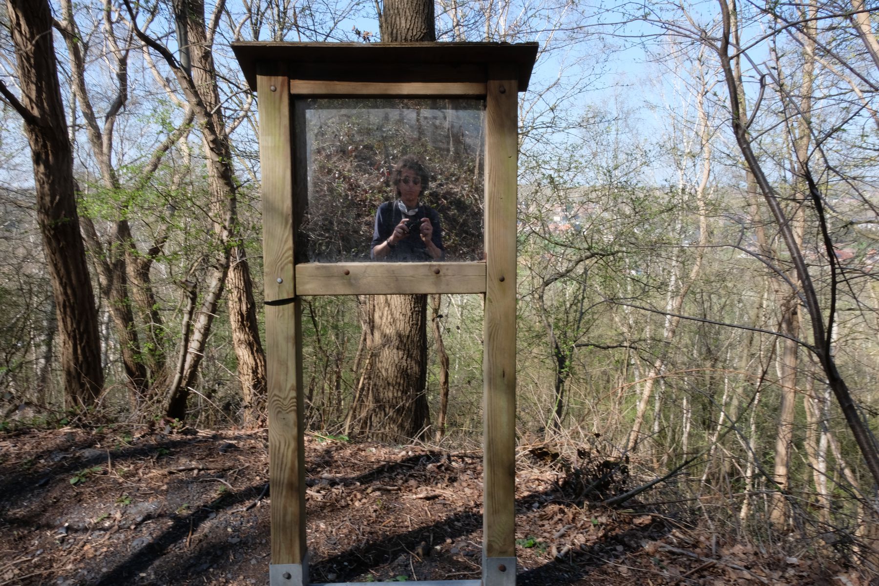 Mirror in the woods