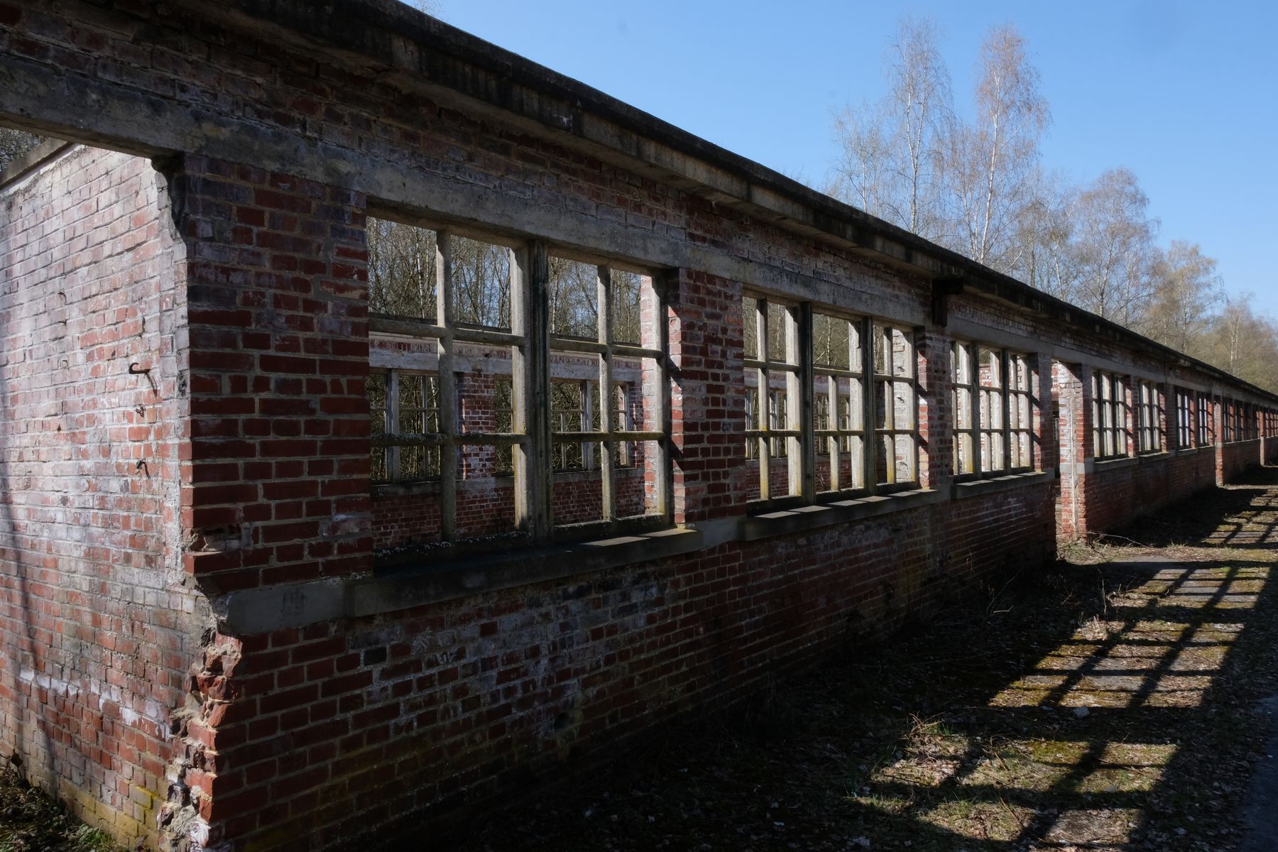 Industrial ruins in park