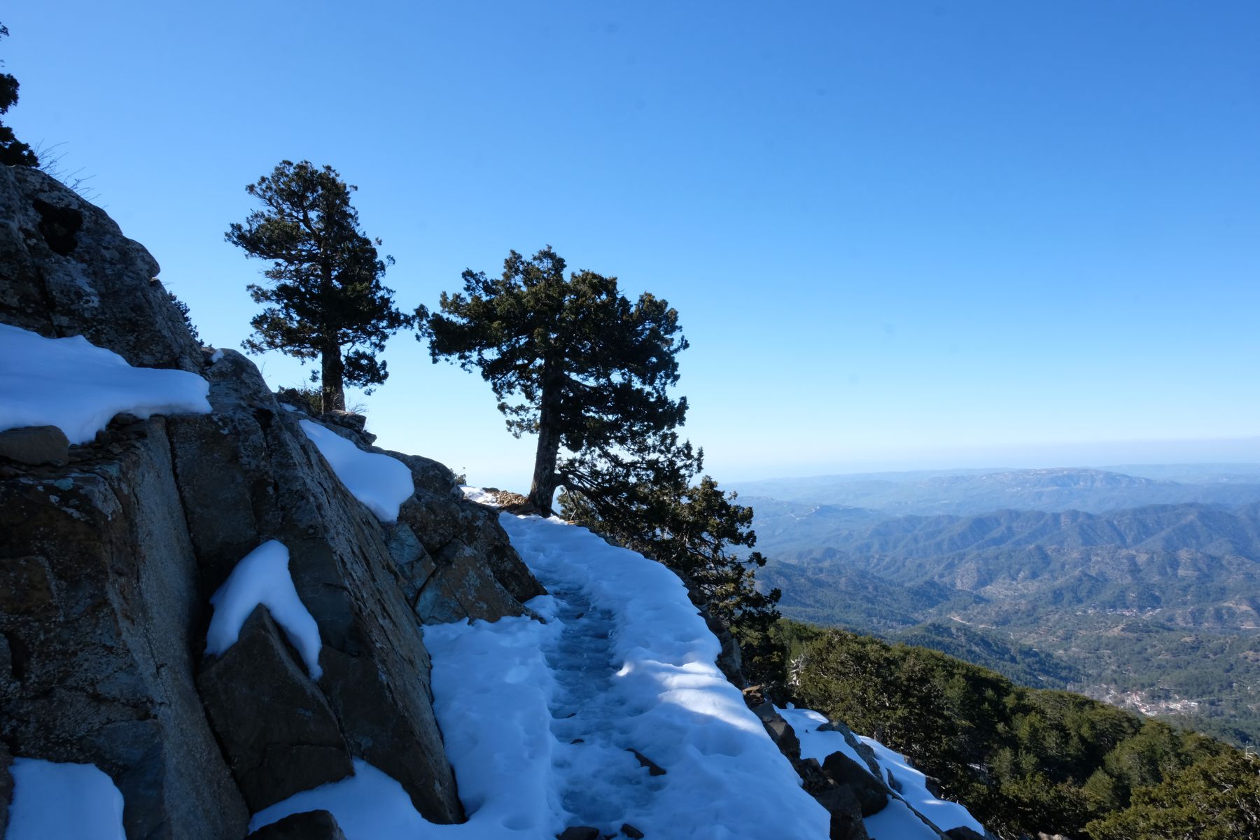 Foot path on Artemis trail