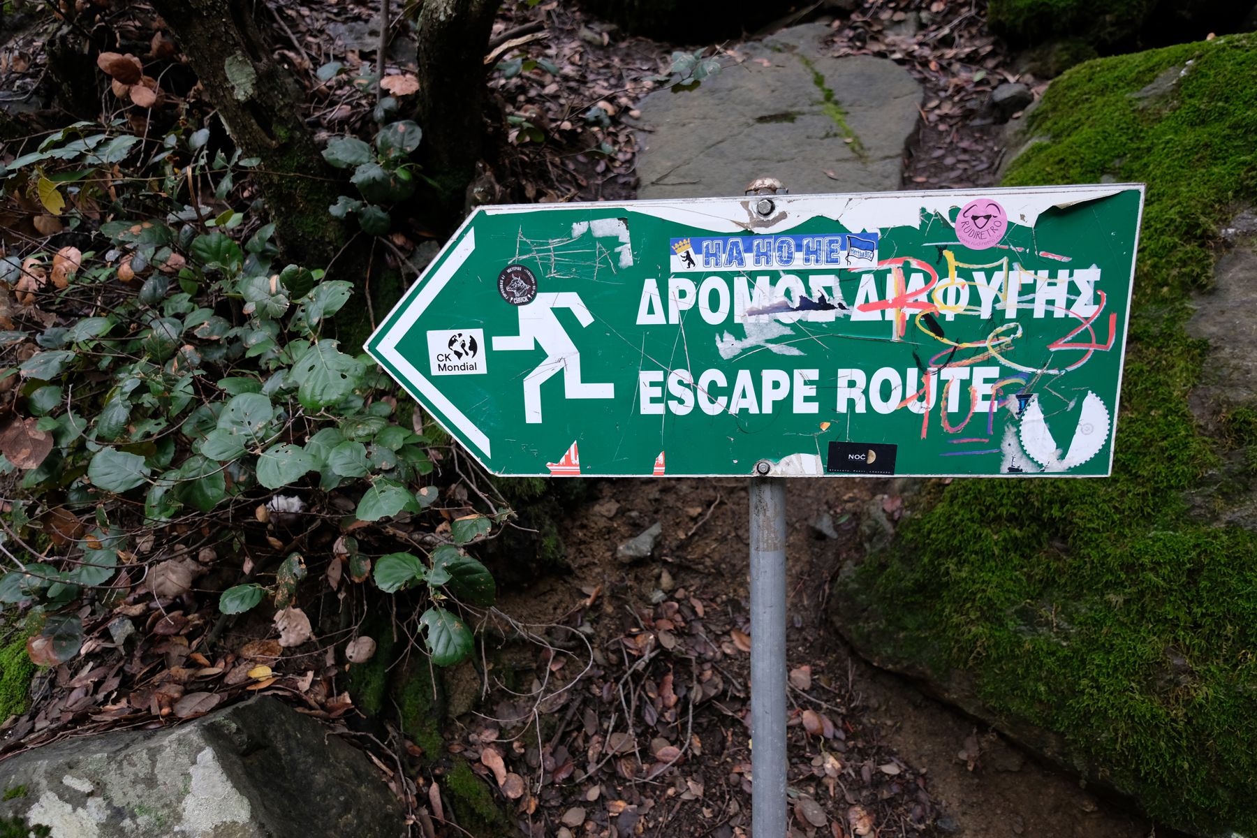 Escape route sign found in forest walk