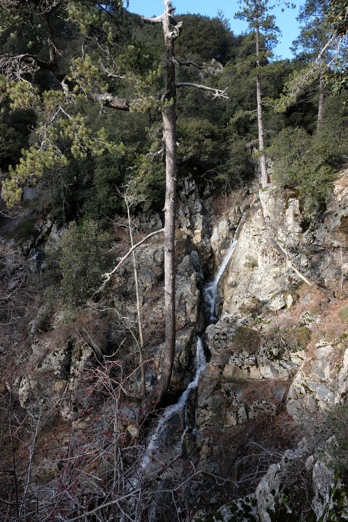 Caledonia waterfall in all its glory