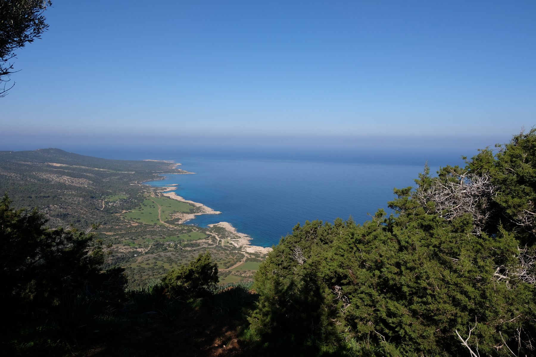 View from the trail.