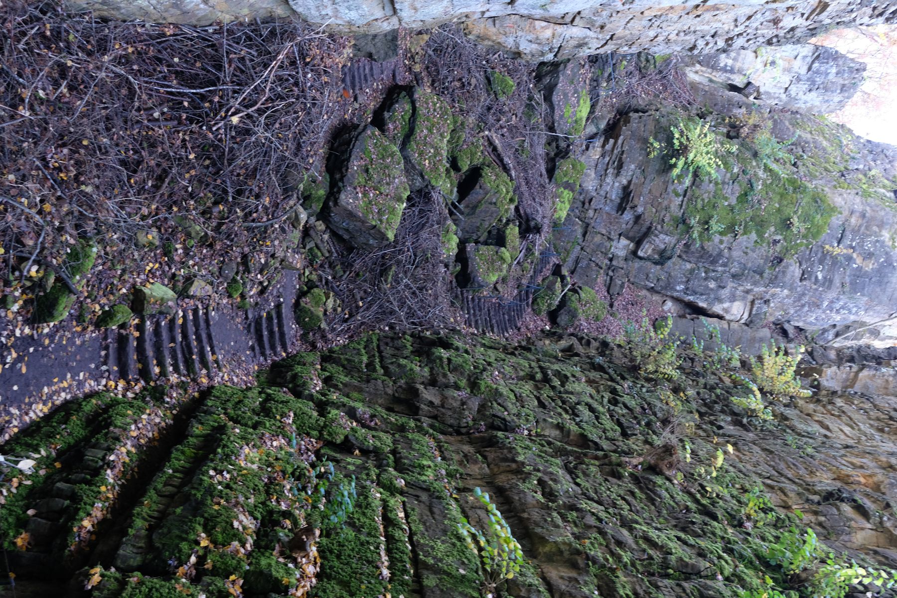 Echternach E1 trail - stairway between deep stone walls