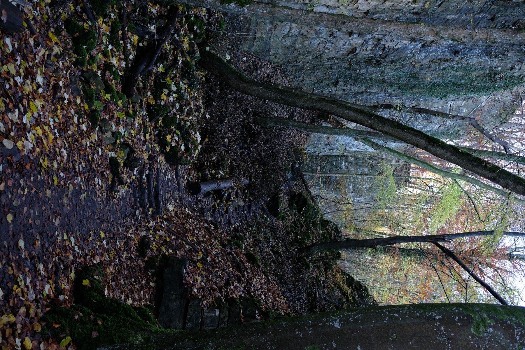 Echternach E1 trail - stone walls