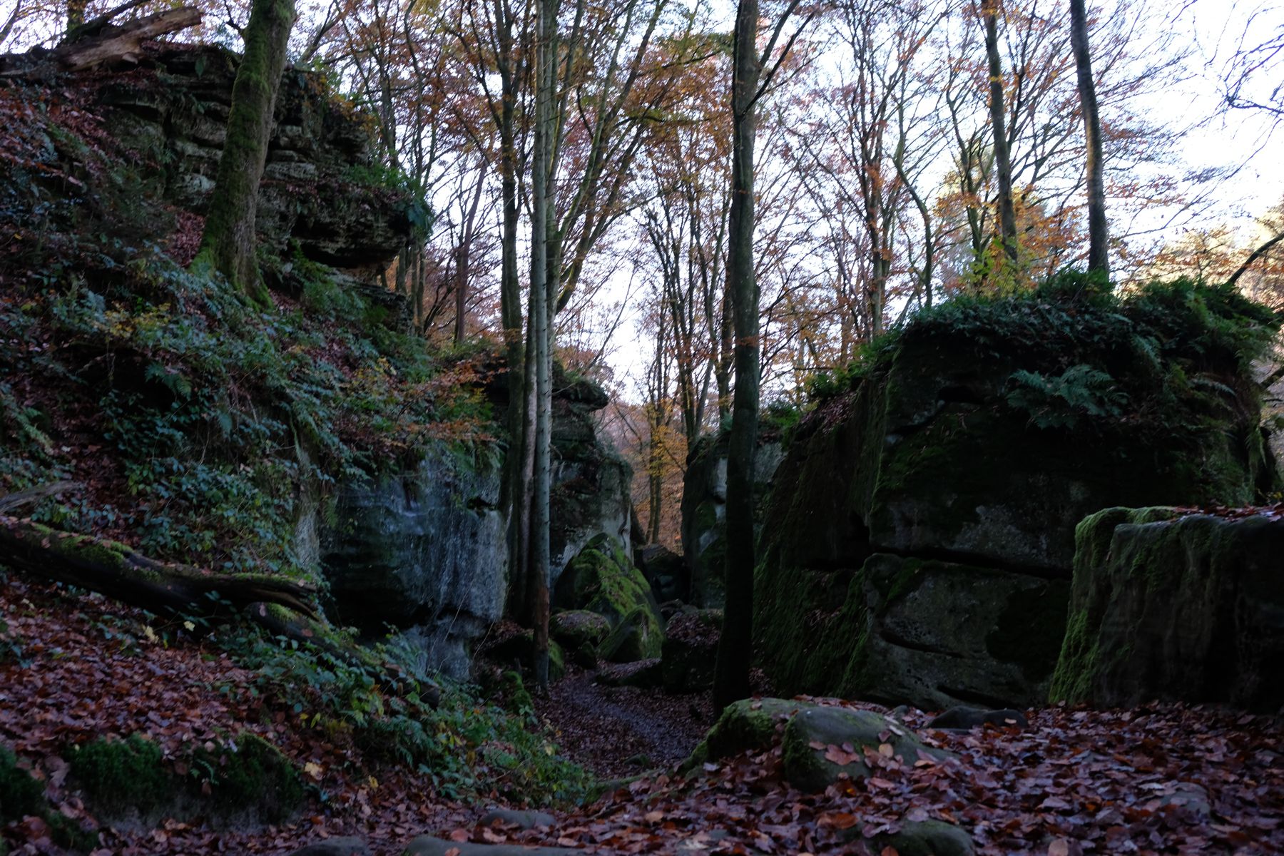 Echternach E1 trail - stone outcropping