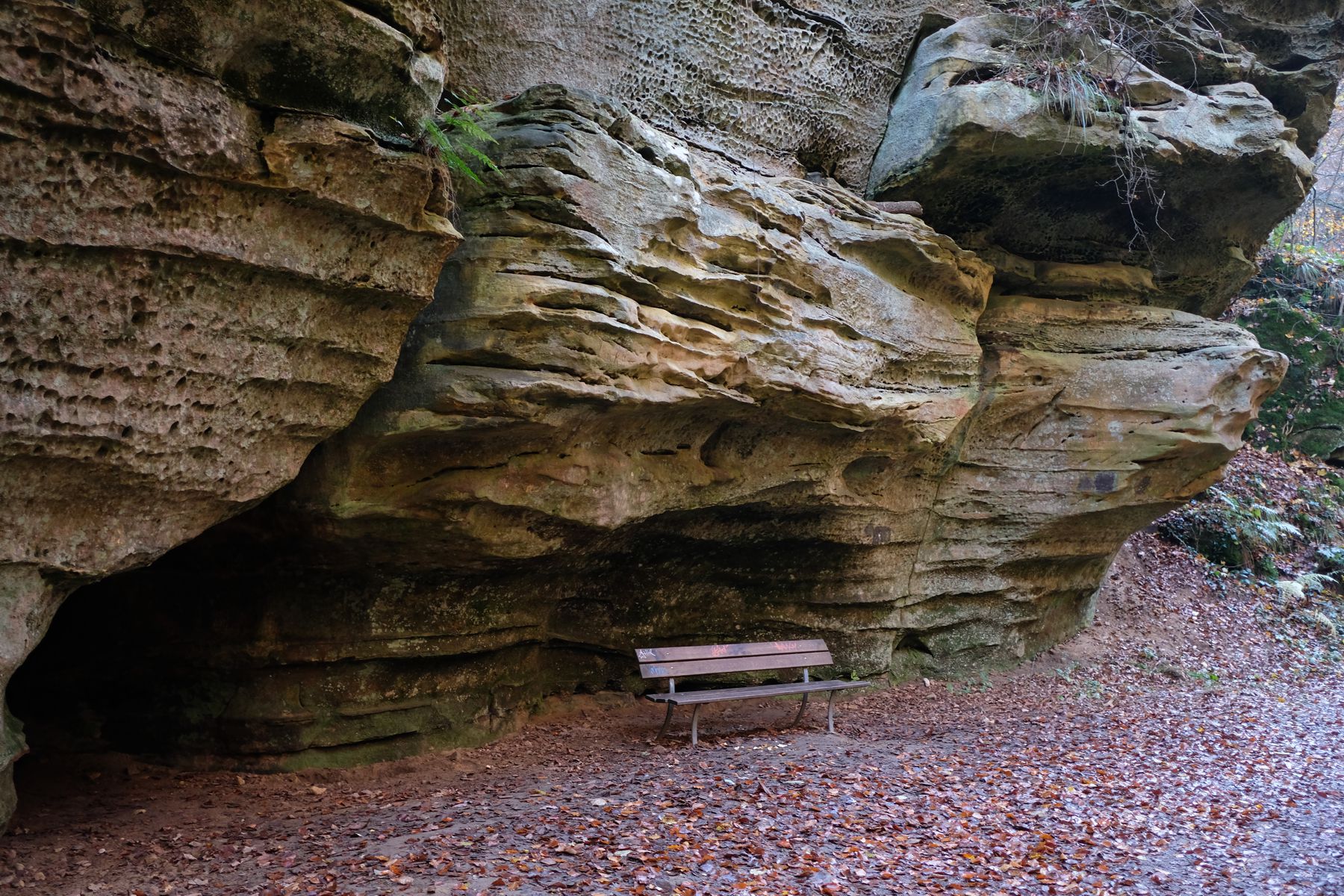 Park bench beneath stone outcropping