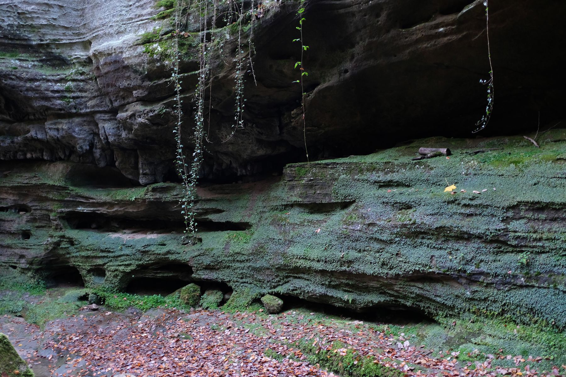 Echternach E1 trail - stone wall