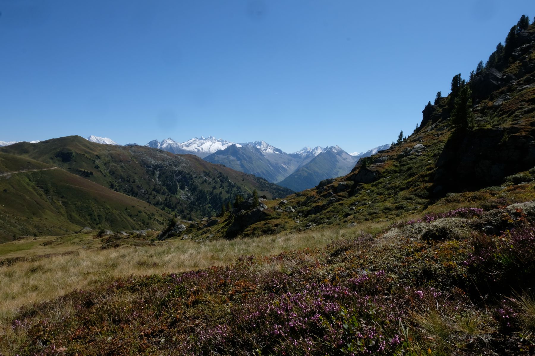 Mountain scene