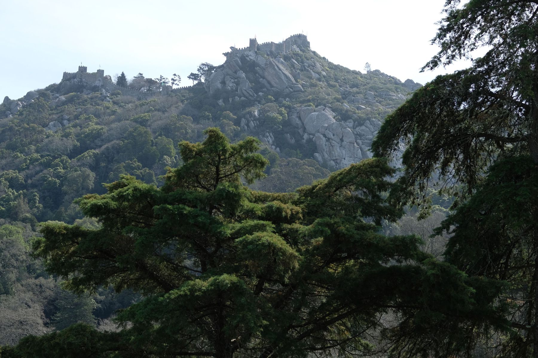 Ruins of Castelo dos Mouros (at top of mountain).