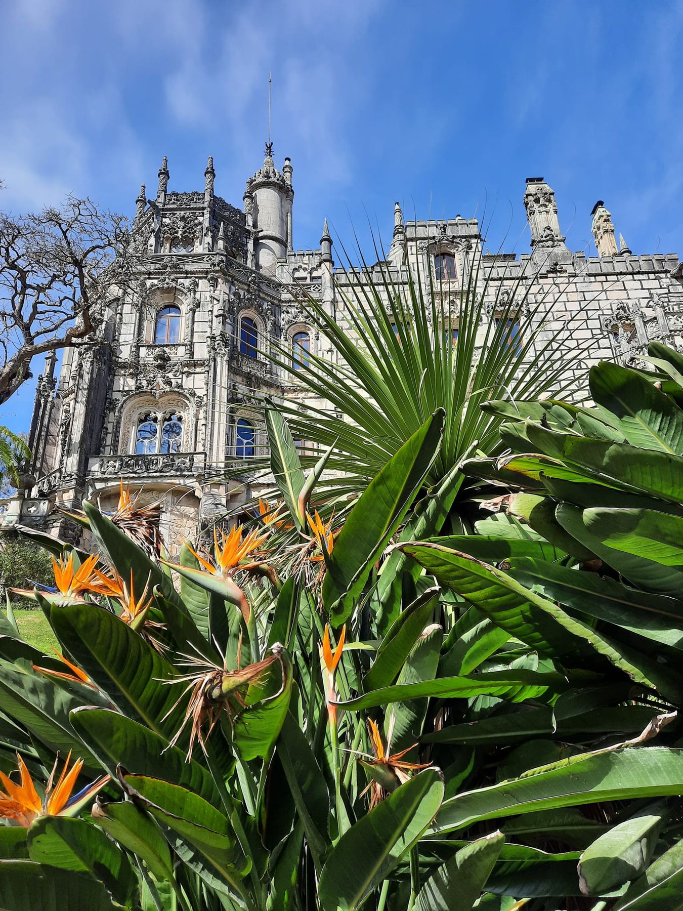 La Quinta de Regaleira, Sintra - photo by Ira.