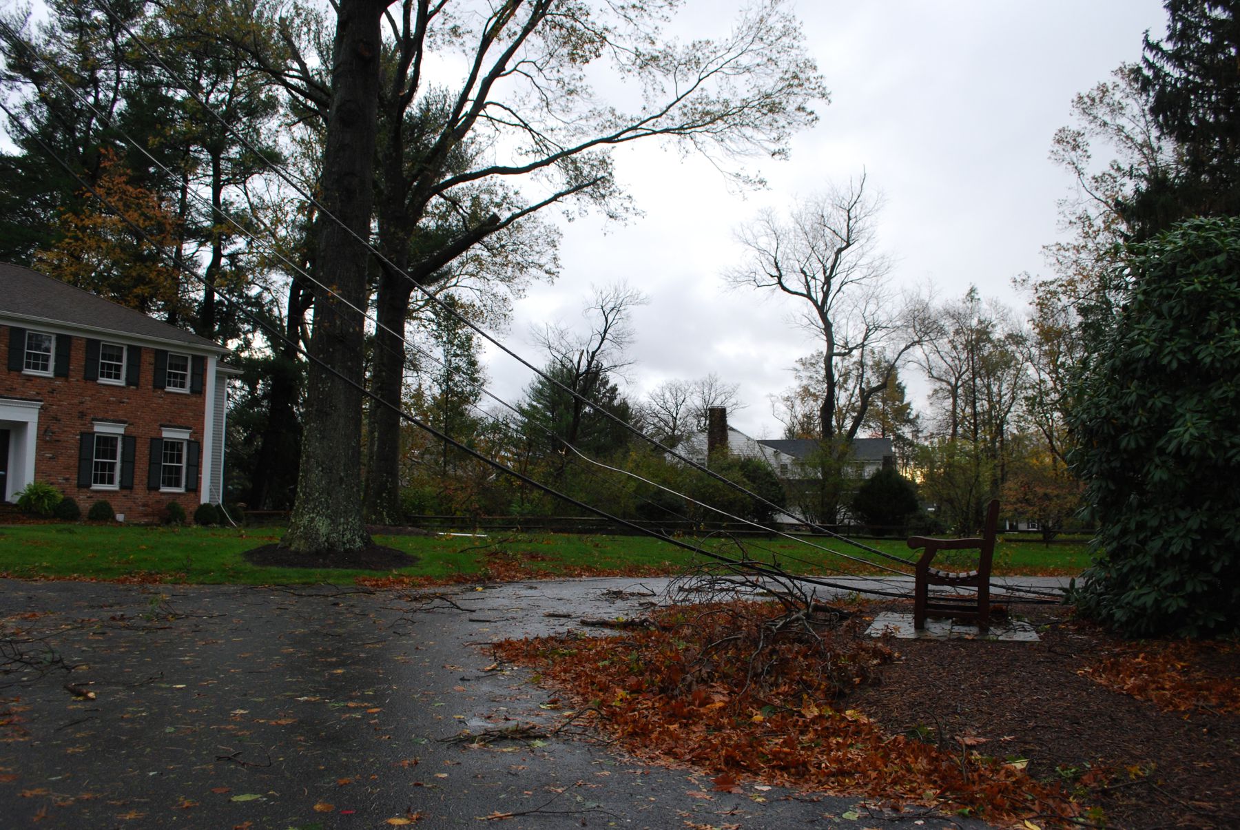 Hurricane Sandy: power cables down