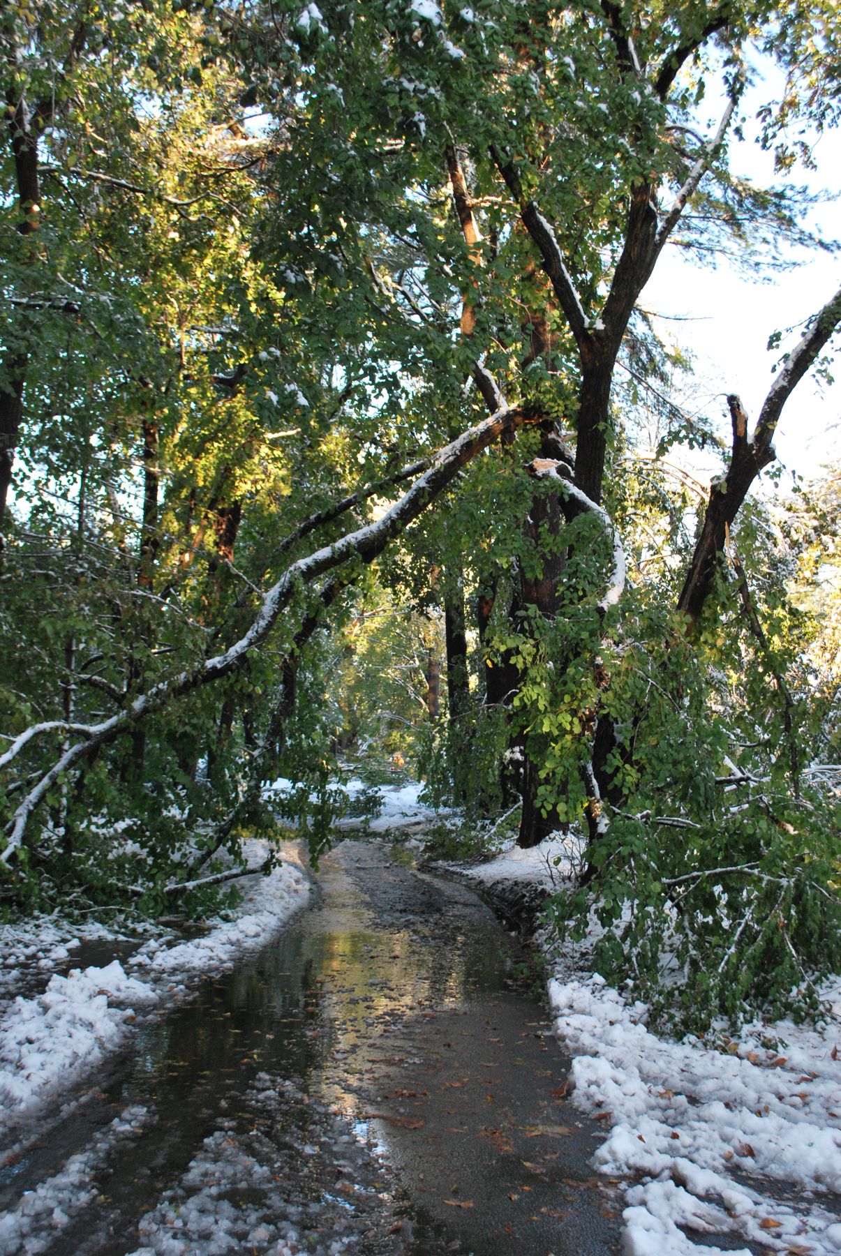 Snow storm damage