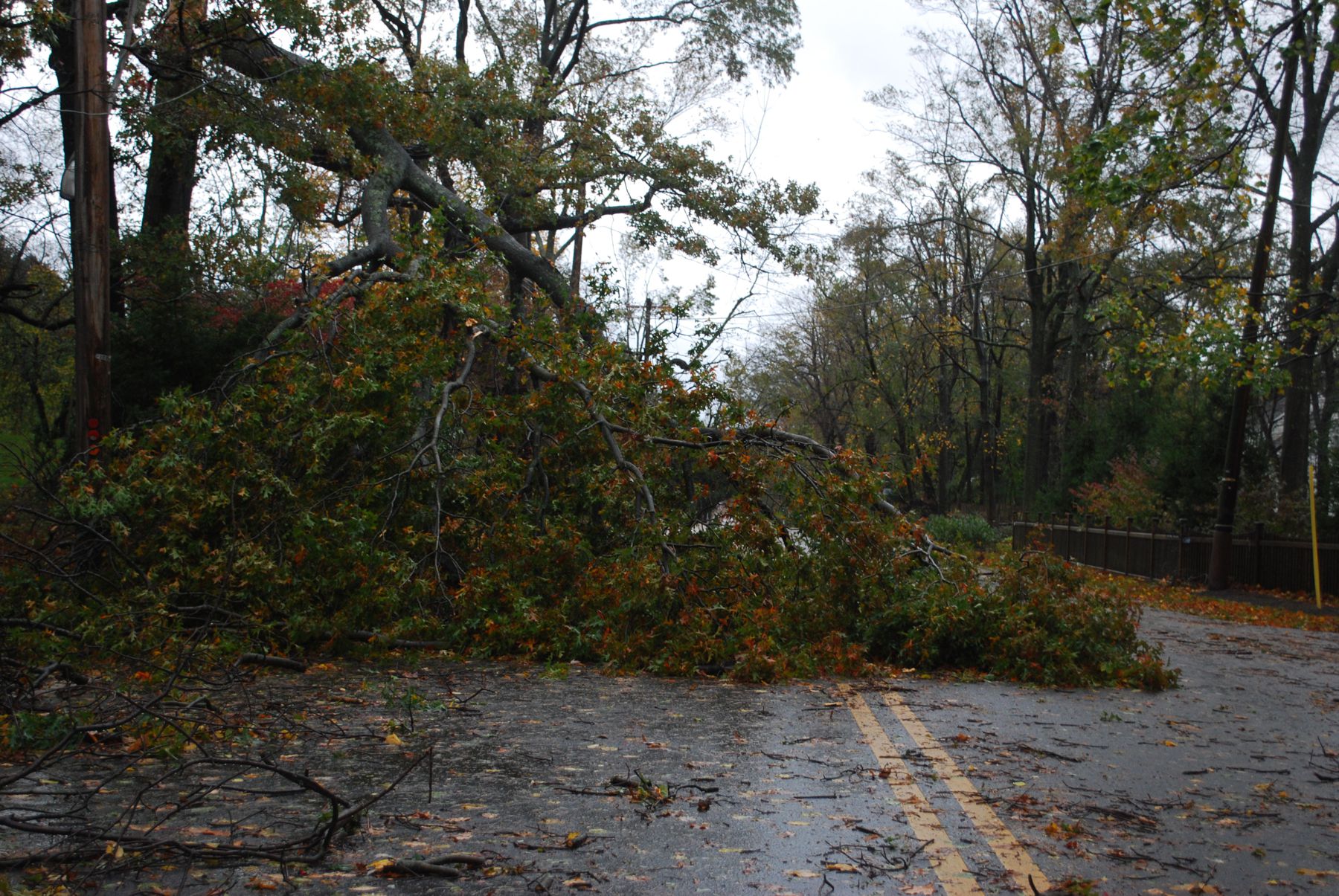 Hurricane Sandy damage